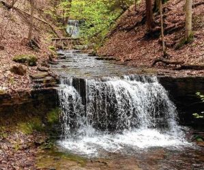 A waterfall on Randall Creek is part of the property the Finger Lakes Land Trust plans to buy from the Burns family in Spafford to create hiking trails at the southern end of Skaneateles Lake. (Courtesy Andy Zepp)